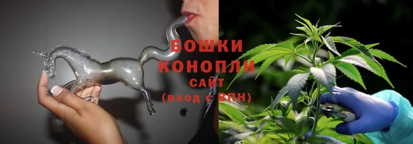 стаф Беломорск