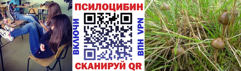 Галлюциногенные грибы Magic Shrooms  Ханты-Мансийск 