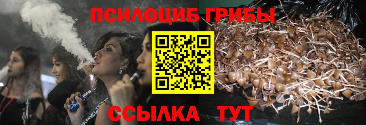 Псилоцибиновые грибы прущие грибы Ханты-Мансийск